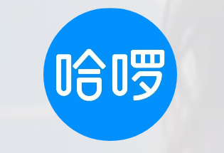 哈啰快车正版大罗月卡